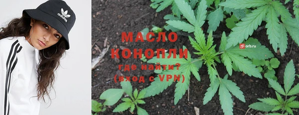 шишки Михайловск