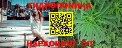 сатива Волжский