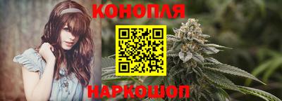 гидра Кинель