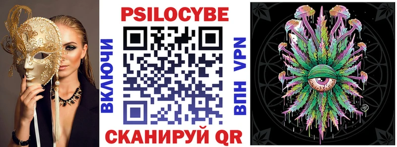 дарнет шоп  Нижнекамск  Галлюциногенные грибы Psilocybe 