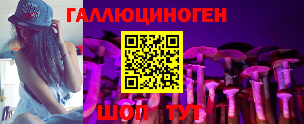 Галлюциногенные грибы GOLDEN TEACHER  купить наркоту  Вход с VPN  Нижнекамск  Галлюциногенные грибы GOLDEN TEACHER 