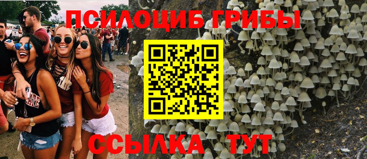 Псилоцибиновые грибы ЛСД Нижнекамск